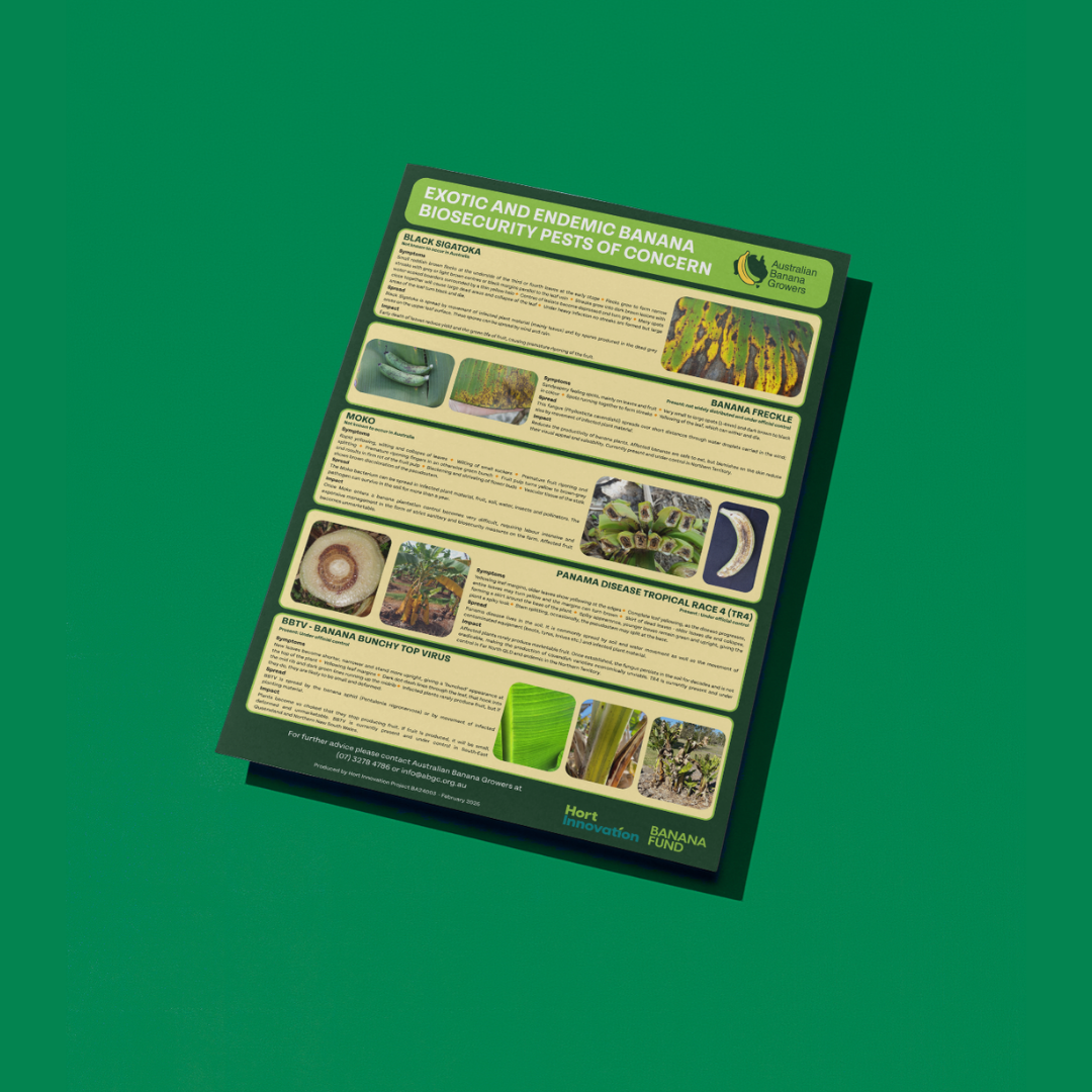 New shed poster available