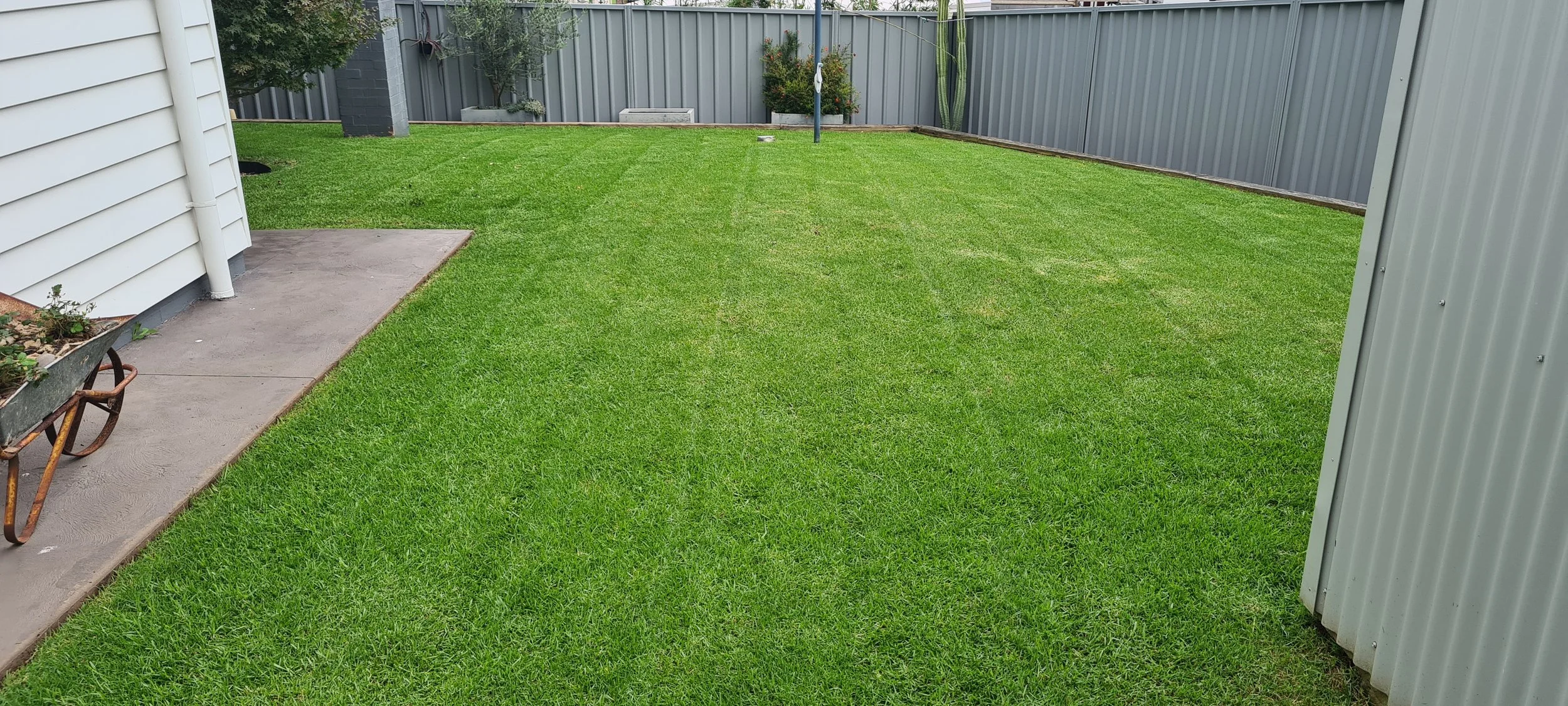 View of Lawn Mowing — Fresh Cut Lawns Shellharbour