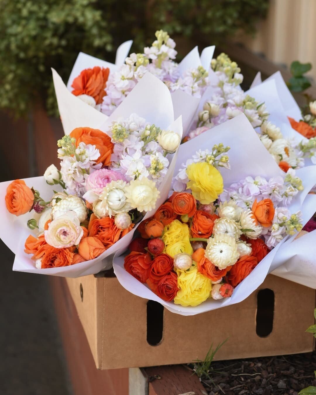Love ranunculus season ❤🧡💛⠀
⠀
⠀
⠀
#ranuncs #freetofeedmelbourne #orange #springflowers #florallove #flowerpower #bunchesofjoy #melbourneflorist