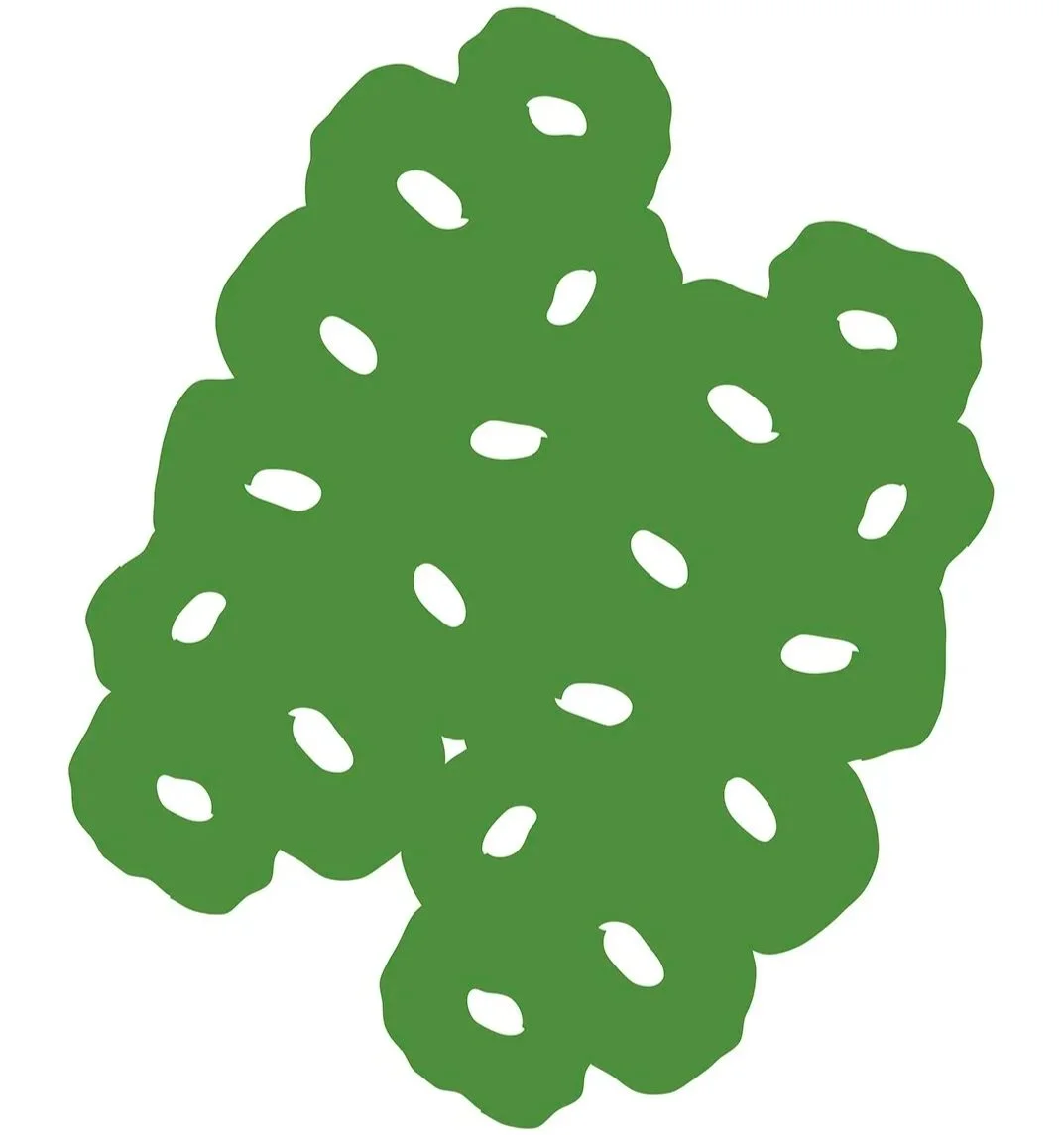 GREEN MARSHMALLOWS 2024