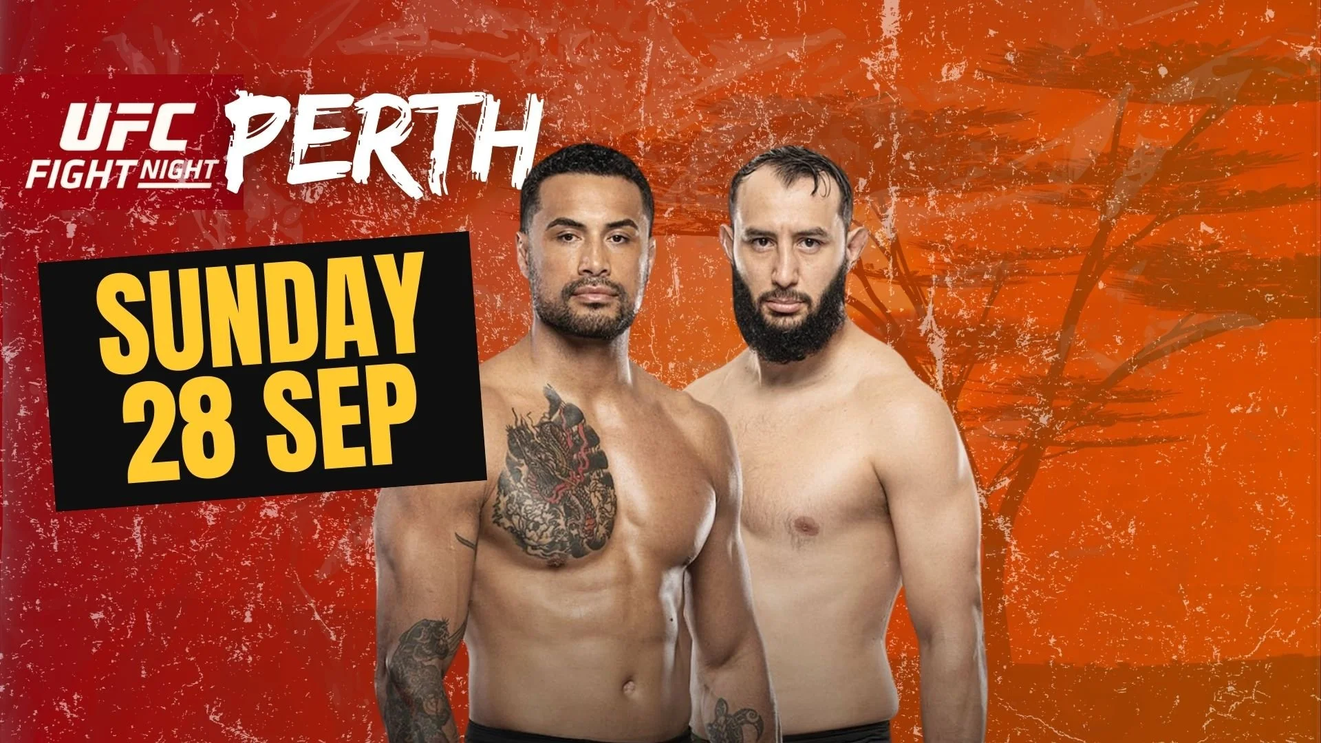 UFC PERTH