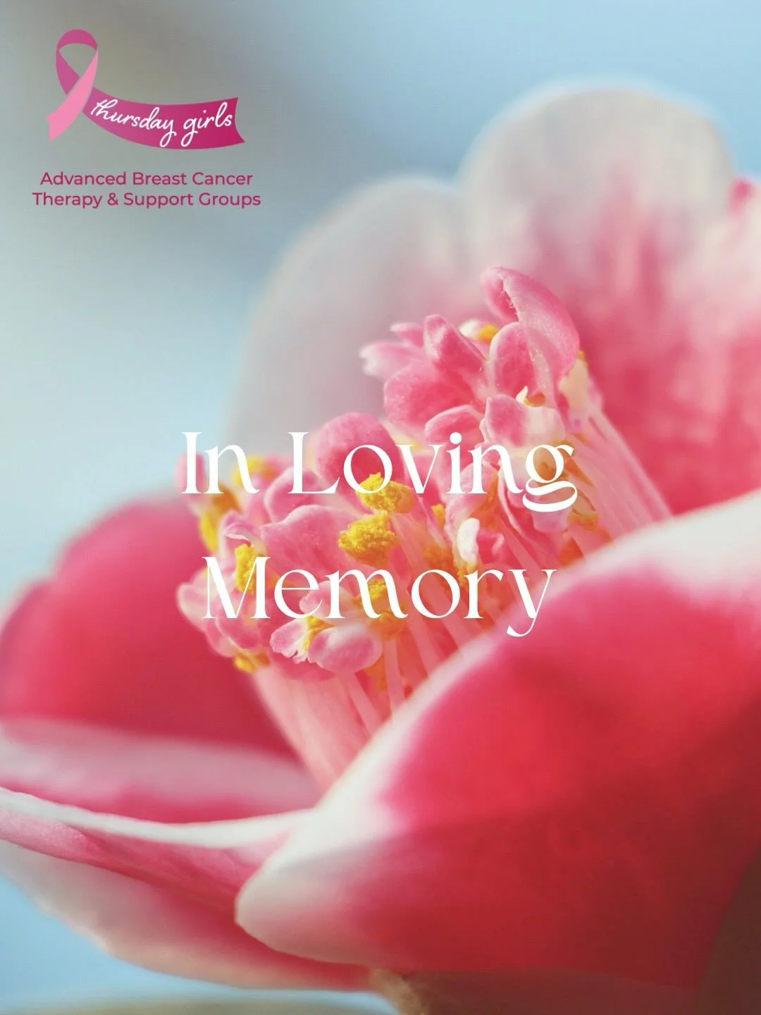 We hold close the beautiful memories of three cherished members of our Thursday Girls family.
We remember Angela (December 2022), Fi (January 2021) and Sally (January 2020)

Three extraordinary women who brought strength, kindness and an unbreakable 