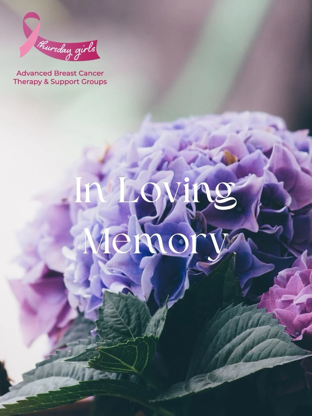 We keep the treasured memories of three much-loved members of our Thursday Girls family close to our hearts.

We honour Anne-Marie (February 2023), Marianna (February 2022), Liz (February 2020) and Chris (February 2020).

Three remarkable women whose