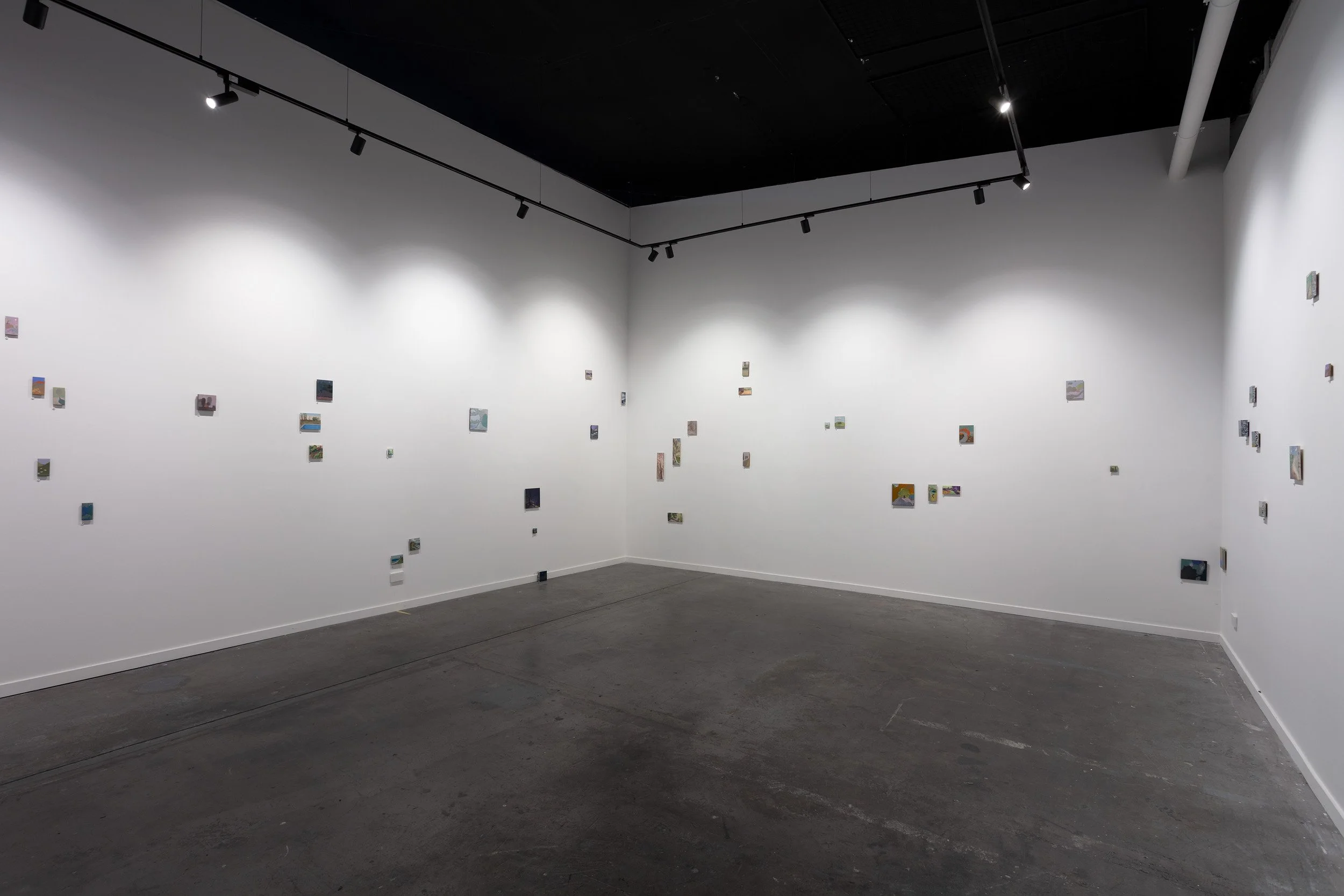 Photography by Narelle Wilson