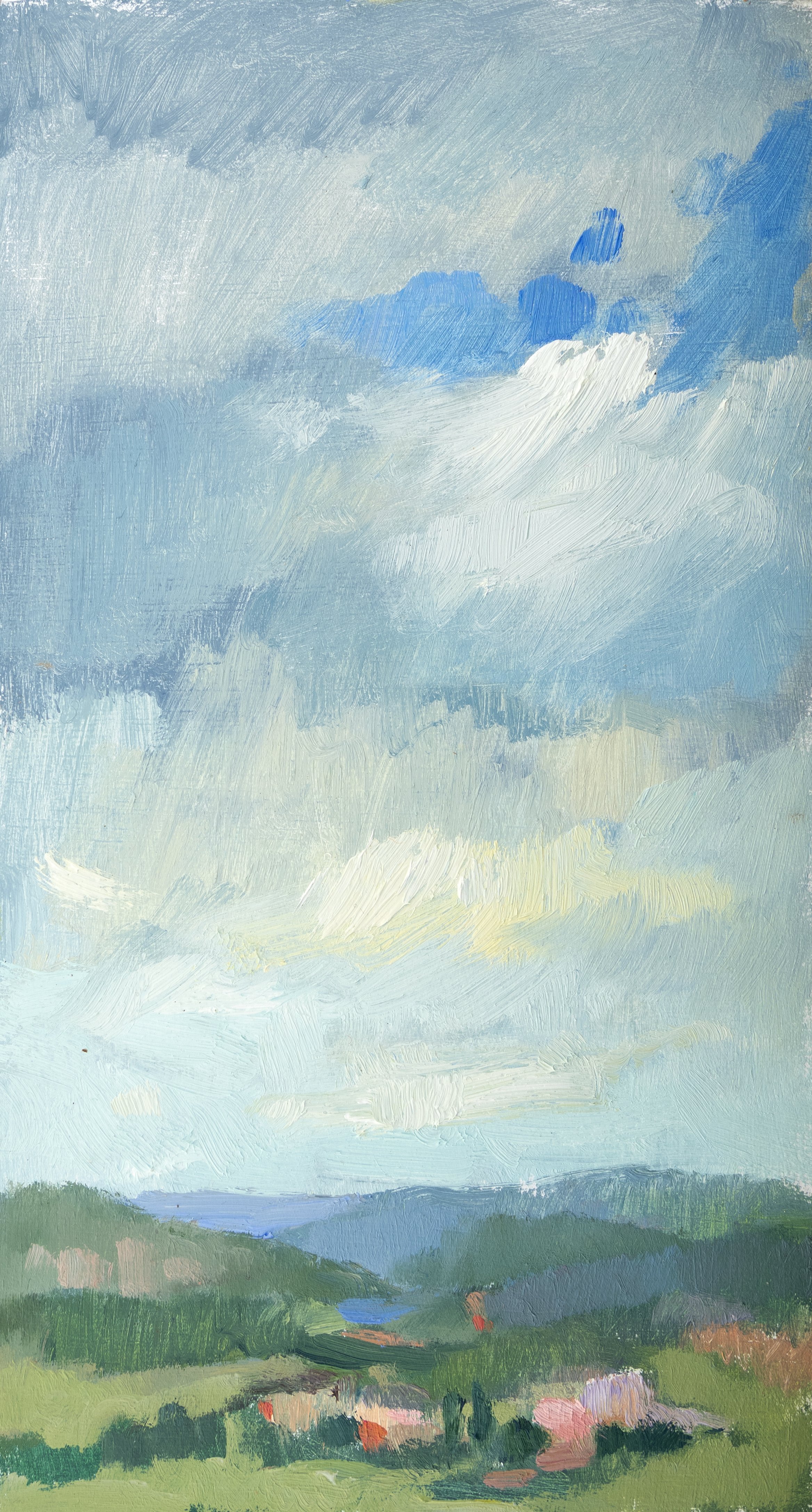 DommeSky_OilonPlywood_265x145mm_HR.jpg