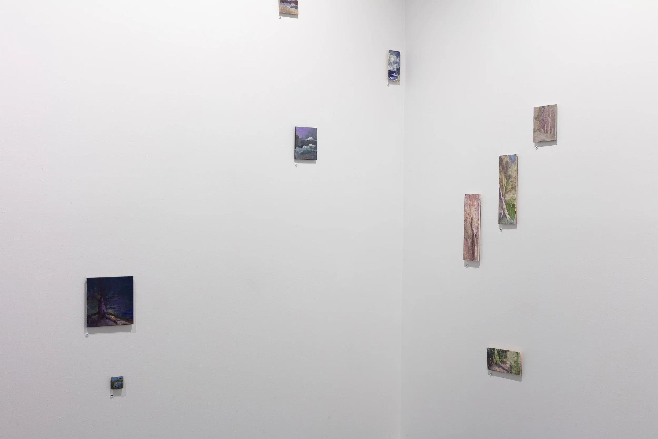 Photography by Narelle Wilson