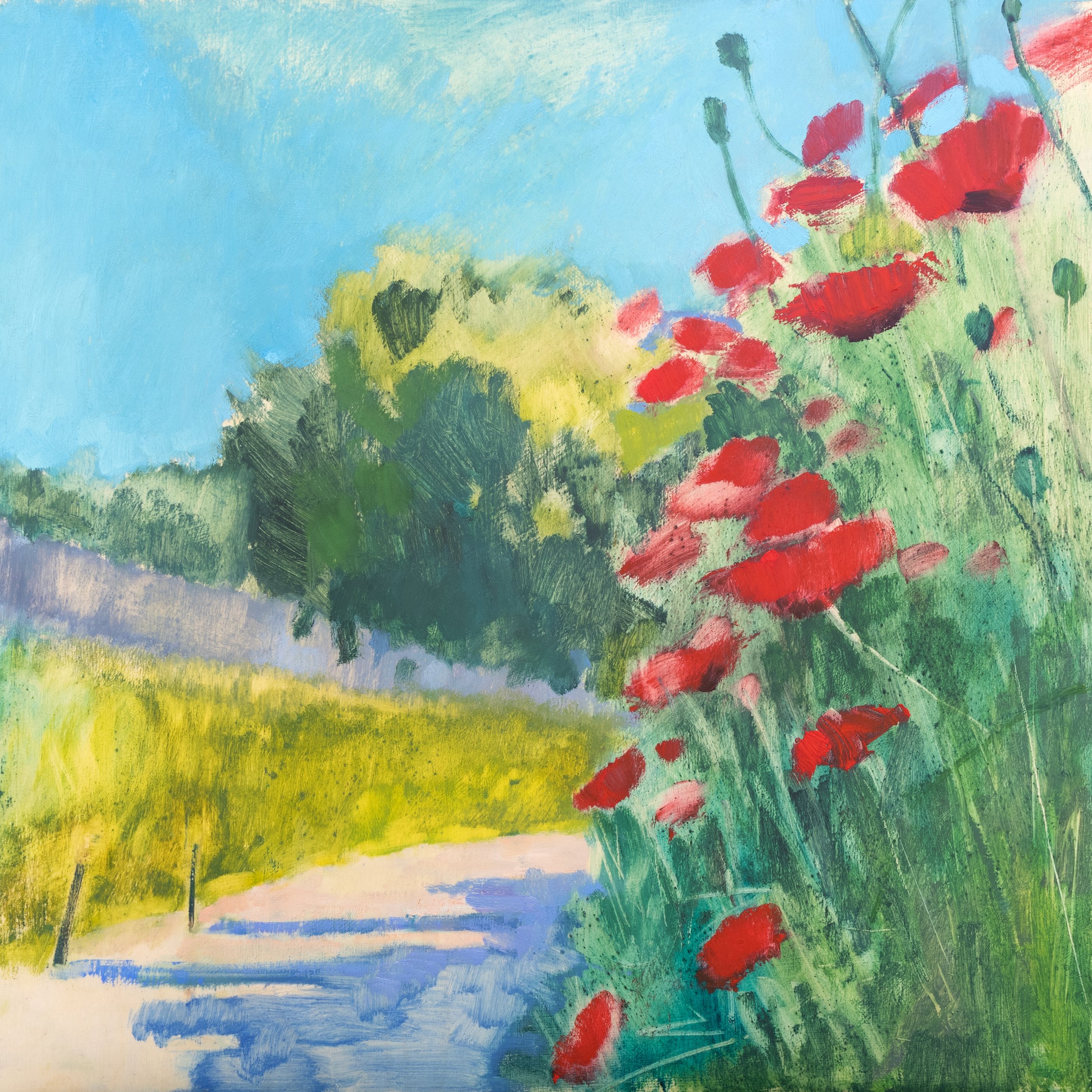WildPoppies_OilonPlywood_510x510mm_HR.jpg