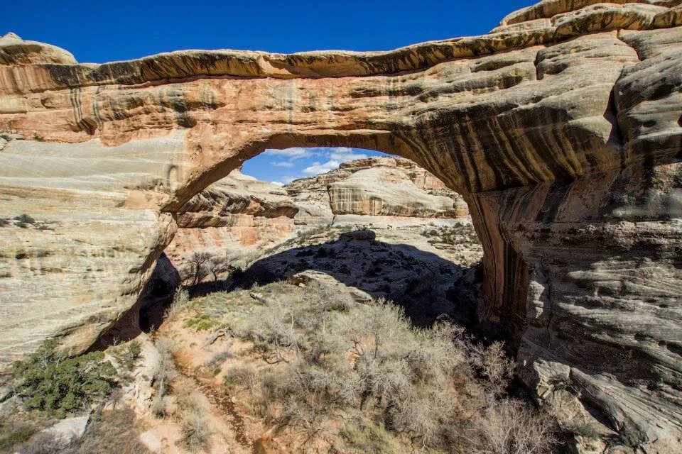 Colorado Plateau 2.jpeg