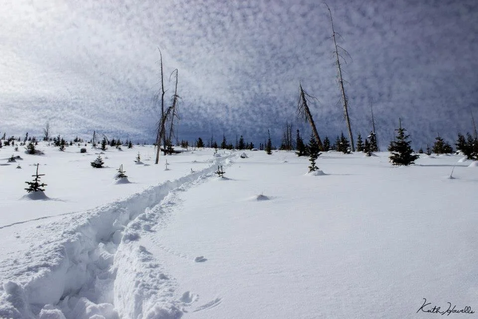winter hiking 2.jpeg