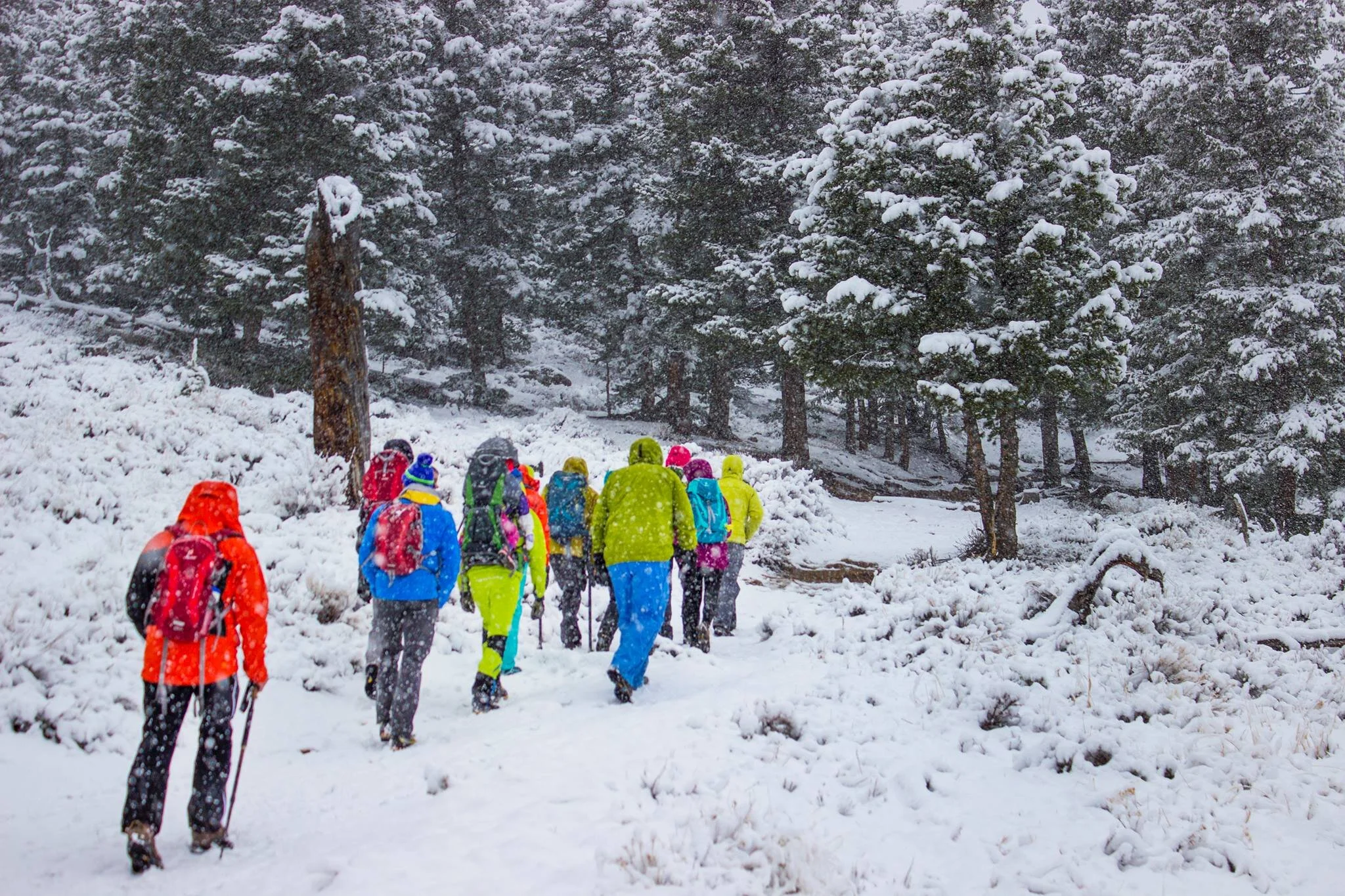 winter hiking 8.jpeg