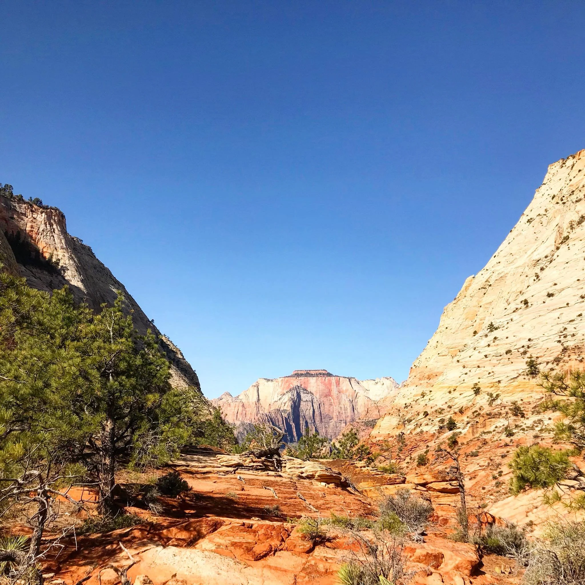 The Cultural History of Zion National Park Honoring Indigenous