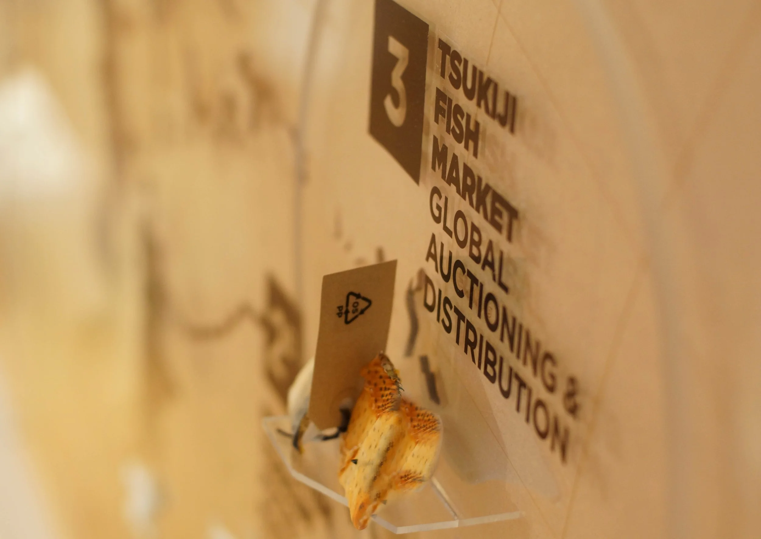 wall inforgraphics.jpg