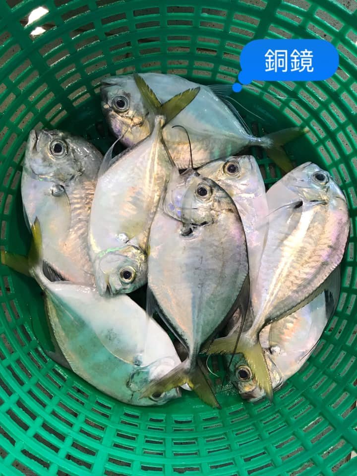 銅鏡.jpeg