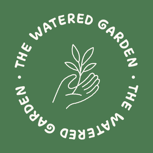 garden plant houseplants Sneinton Market avenues