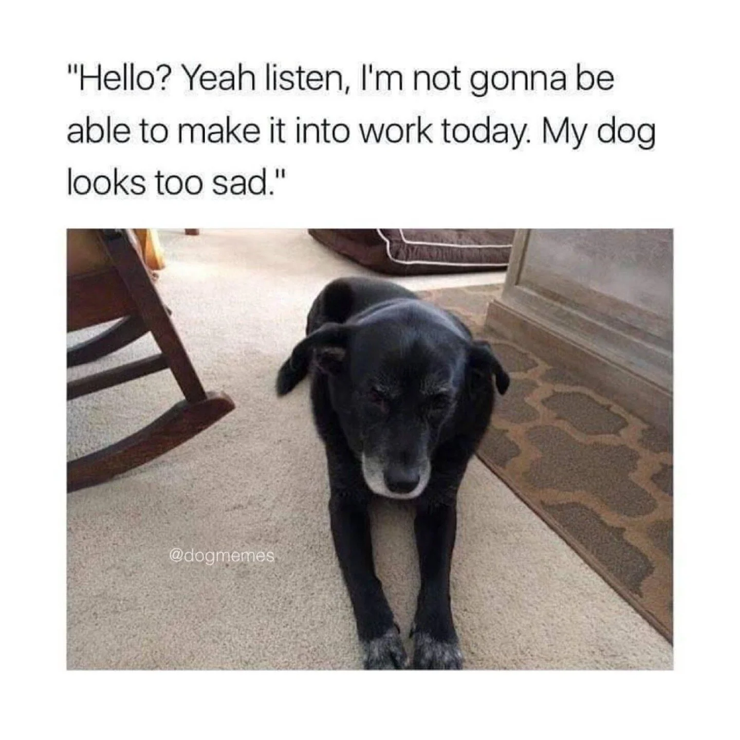 That Monday feeling ๐พ