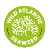 Wild Atlantic Seaweed.jpg