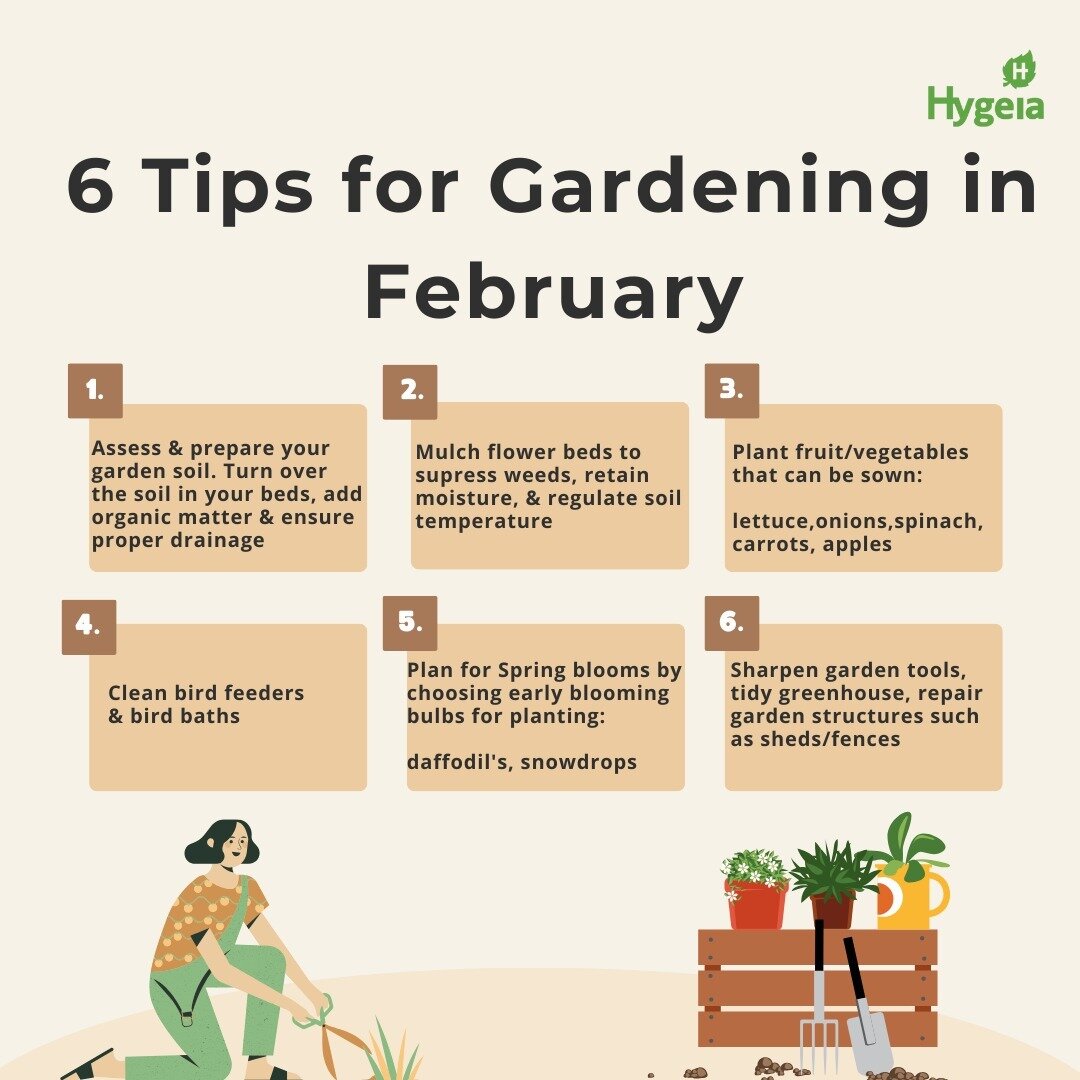Hello February! 🌷🌤️

Embrace the new month with fresh possibilities in your garden. 
From mulching to planning, here are 6 gardening tips for the month of February 🌼🥕🍎

the perfect start to a blooming season!
🌱✨🌸🪴

#hygeia #gardening #thompso