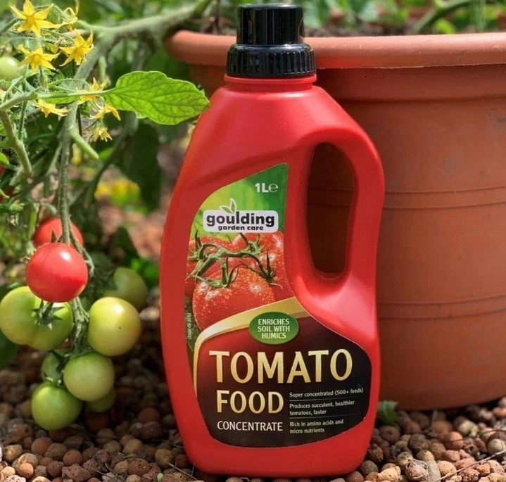 Give your tomatoes the love they deserve with Goulding Tomato Food✨👏🏻

✔️Enriches soil with humics
✔️Produces succulent, healthier tomatoes faster
✔️Rich in amino acids &amp; micro nutrients

Transform your tomatoes and watch them thrive🍅🤗

#goul