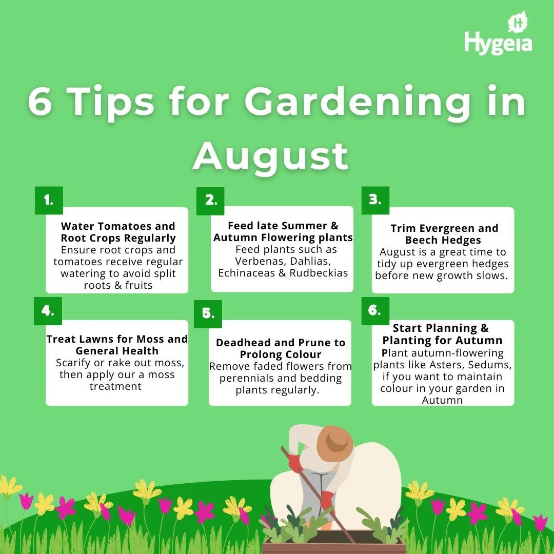 Keep your garden thriving this August from watering wisely to, trimming hedges, and preparing for autumn colour. A little effort now means a healthier, more vibrant garden well into the season! 👨&zwj;🌾🌺 

#hygeia #gardentips #summer #lushgardens #