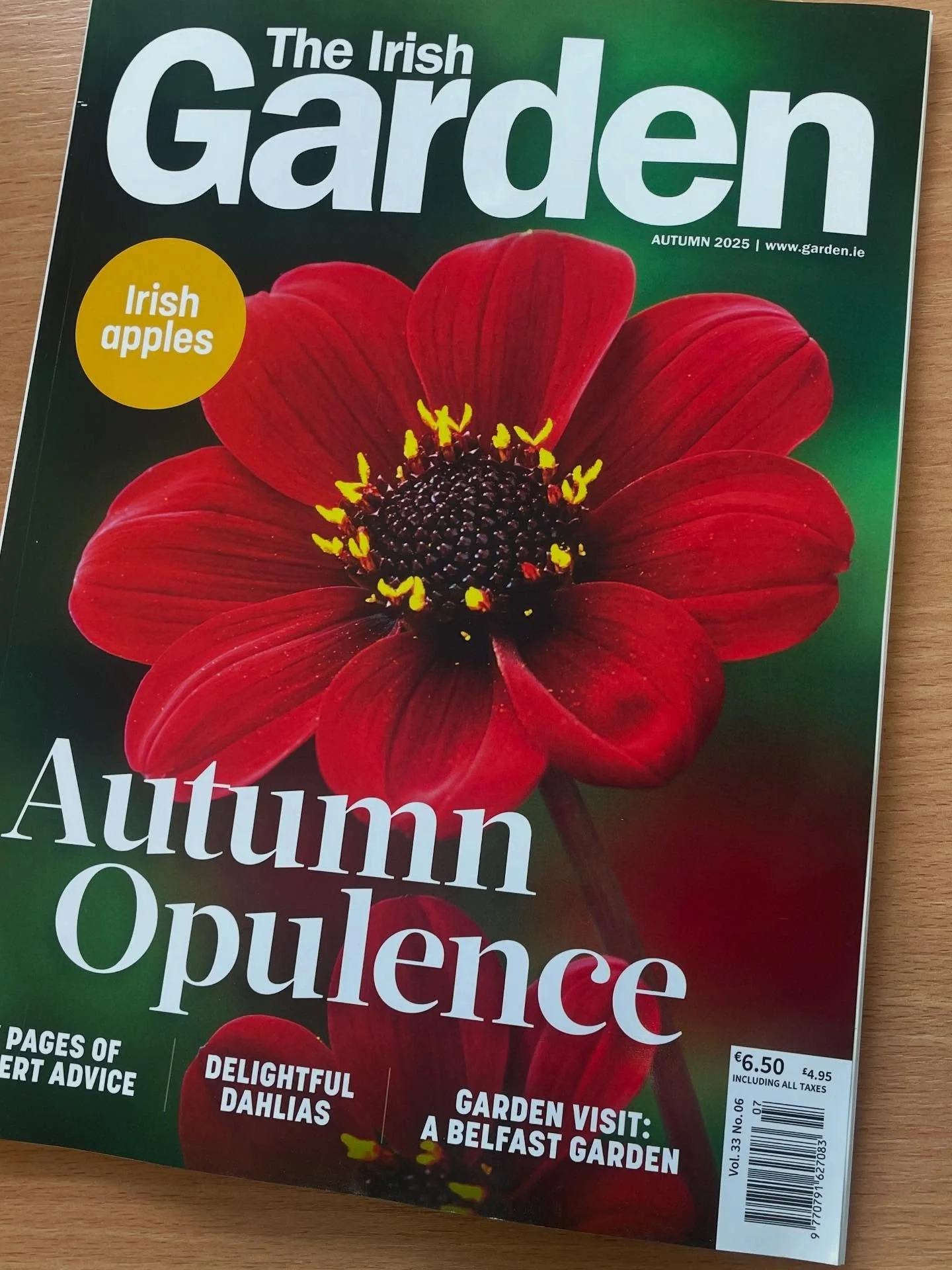 The latest edition of @theirishgardenmagazine has arrived, bringing a gorgeous splash of colour and the usual brilliant features and tips.
There are plenty of bursts of colour, fruit and veg still around us, but it is also time to start making prepar