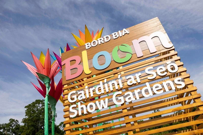 Hygeia Celebrates Another Fantastic Year at Bloom 2026