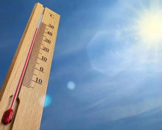 Heatwaves: How to Keep Your Grass Green and Plants Healthy