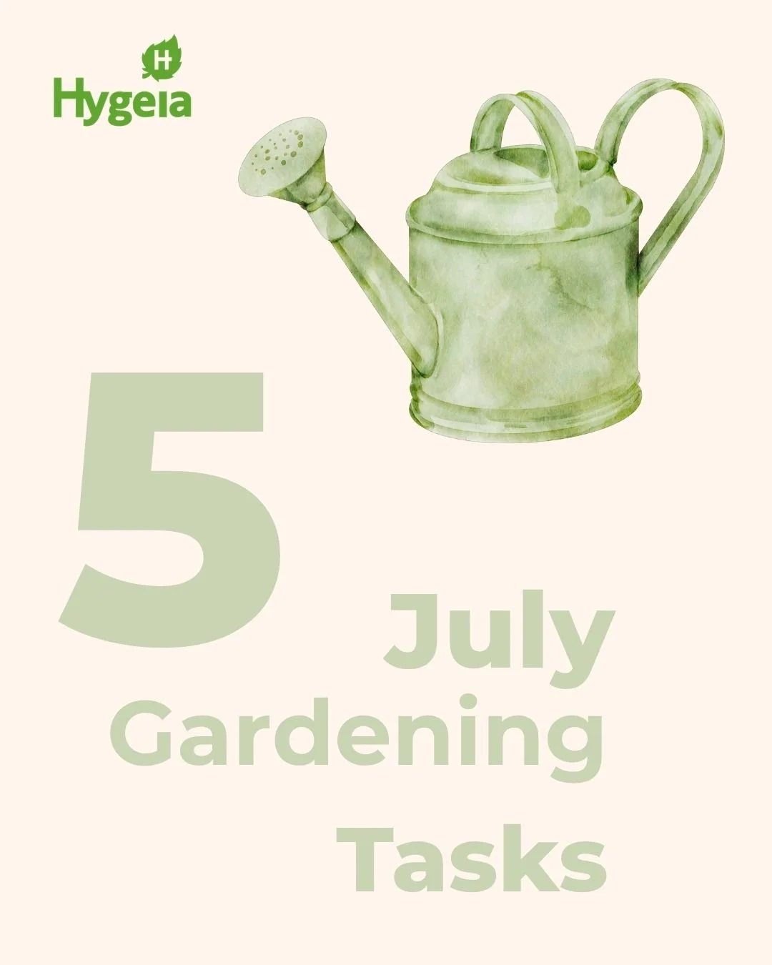 🌿 July Gardening Jobs

July is all about keeping on top of the little jobs that make a big difference in your garden 🌸✨

From watering during dry spells and deadheading to encourage more blooms, to supporting tall plants with canes and checking in 