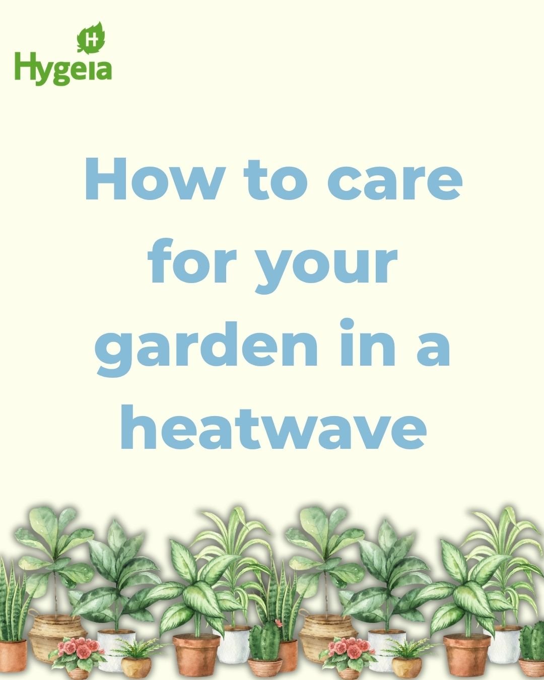 🌞 Garden Care Tips for a Heatwave🌿

Hot weather can put your garden under a lot of stress, but a few simple steps can help keep your plants healthy and thriving.

💧 Water deeply in the early morning or late evening to reduce evaporation.
🌱 Focus 