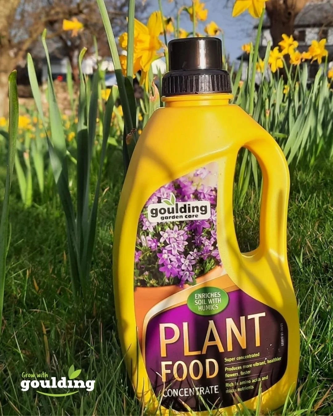 🌼 Bring your blooms to life with Goulding Plant Food! 🌼

Give your flowers the nutrients they need to grow stronger, healthier and more vibrant all season long. Our super-concentrated liquid feed is rich in amino acids and micronutrients, helping p