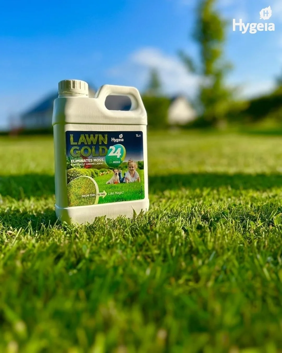 🌱 Give your lawn a fresh start with Lawn Gold 24! 🌱

If moss is taking over your lawn, now is a great time to tackle it before it spreads further. Lawn Gold 24 gets to work fast, eliminating moss while instantly greening your grass to leave your la