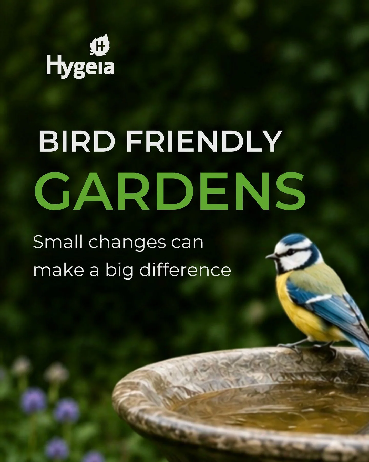🐦 Create a garden that's as welcoming for birds as it is beautiful. 🌿

A bird-friendly garden doesn't just benefit wildlife-it benefits your garden too.

💚 Birds help control common garden pests naturally
🌸 They support a healthy, balanced ecosys