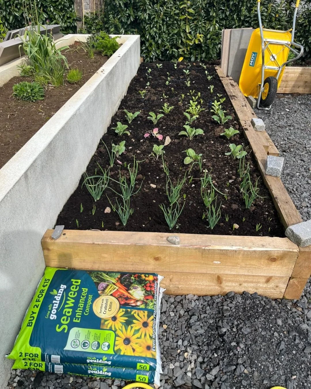 🌱 Start your garden with the right foundation! 🌱

Thinking of adding a raised bed to your garden?
 
Give your plants the perfect place to grow with Grow with Goulding Seaweed Enriched Compost 🌿

🌊 Enriched with seaweed
🌱 Helps create a rich grow