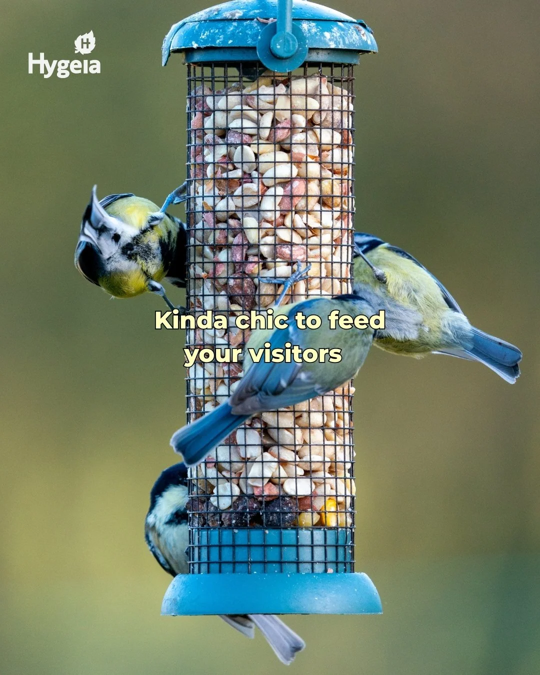 Kinda chic to have a garden you&rsquo;re proud of. 🌿

From protecting your plants and giving them the nutrients they need to feeding the birds and growing your own food - a little care goes a long way.

Discover our Nature Safe, Chirpy &amp; Gouldin