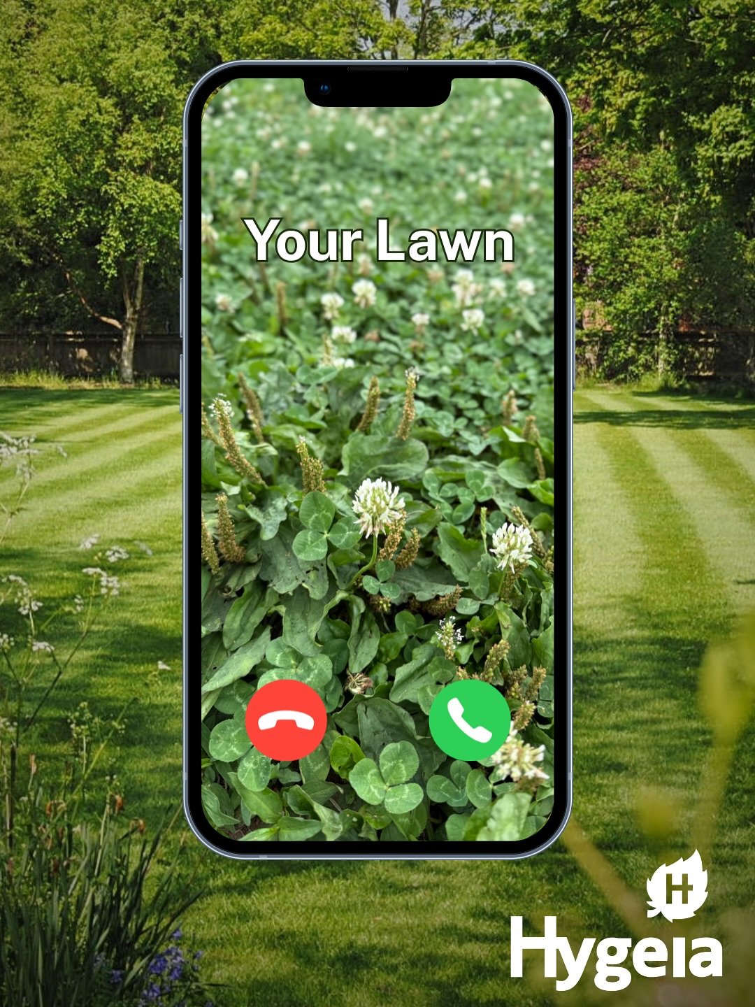 Hi... yeah, l've got a bit of a weed and moss problem. 📱

Say no more. Hytrol Ready to Use Weedkiller is here to help.

✅ Kills weeds and moss quickly
✅ Ideal for spot treatment on paths, patios and drives 
✅ Kills weeds down to the root Visible res