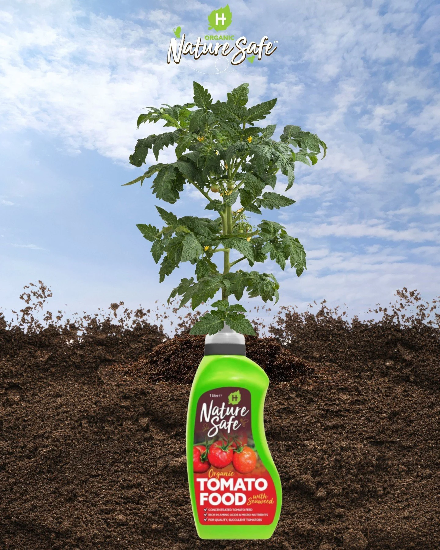 🍅 The secret to a great tomato harvest? Regular feeding!

Tomato plants are hungry growers, especially once they start flowering and producing fruit. 🌱🍅

Nature Safe Tomato Feed provides the nutrients your plants need to support healthy growth and