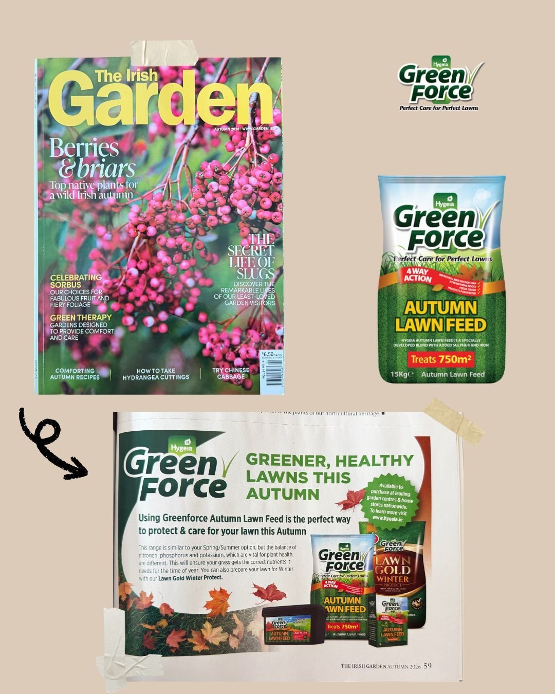 🍂 Get your lawn ready for winter! 🌱

As the seasons change, now is the perfect time to give your lawn some extra care before the colder weather arrives.

Green Force Autumn Lawn Feed is specially balanced with Nitrogen, Sulphur and Iron to encourag