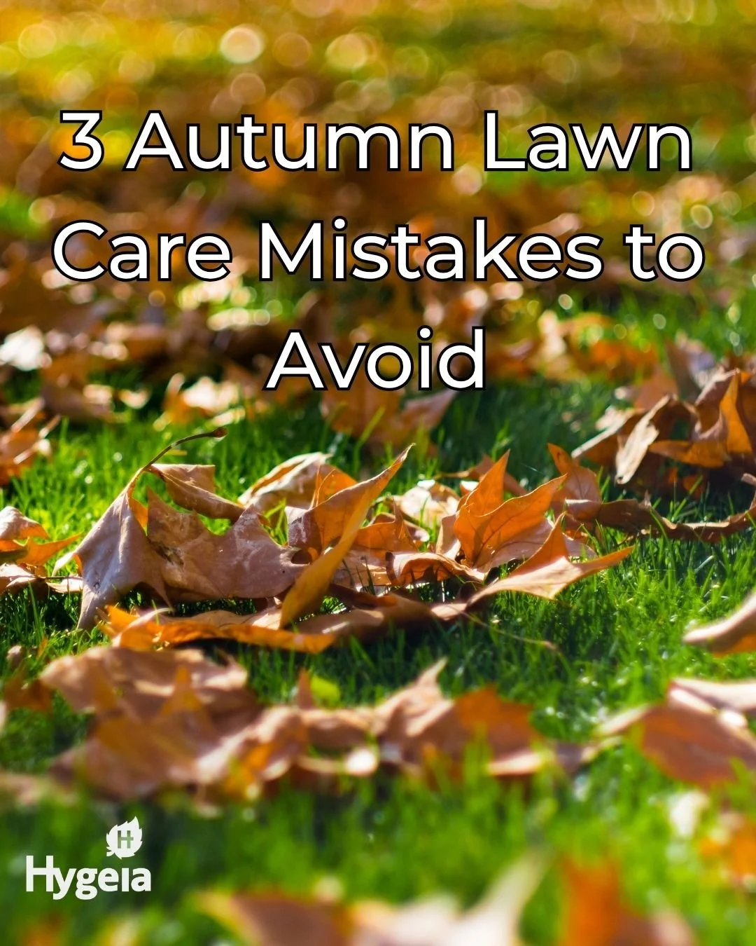 🍂 3 autumn lawn care mistakes to avoid!

As the seasons change, your lawn needs a little extra attention to stay healthy.

🌱 Remove thick layers of fallen leaves.
🌱 Avoid walking on waterlogged grass.
🌱 Don't forget about seasonal lawn care.

A l