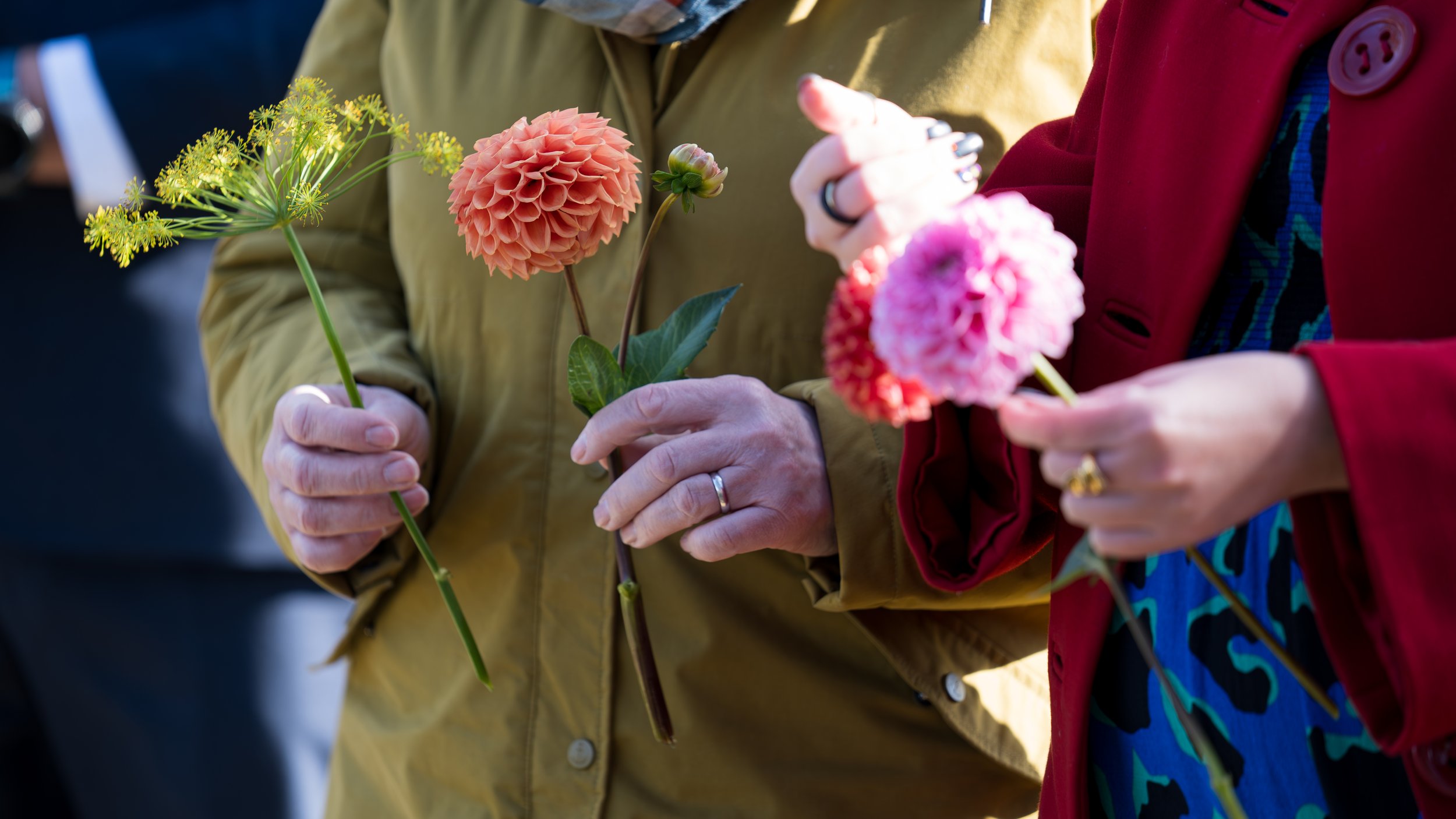 Two pairs of hands each holding a single brightly coloured flower. The figure on the left wears an olive green coat. The figure on the right wears a red coat and a blue leopard print dress