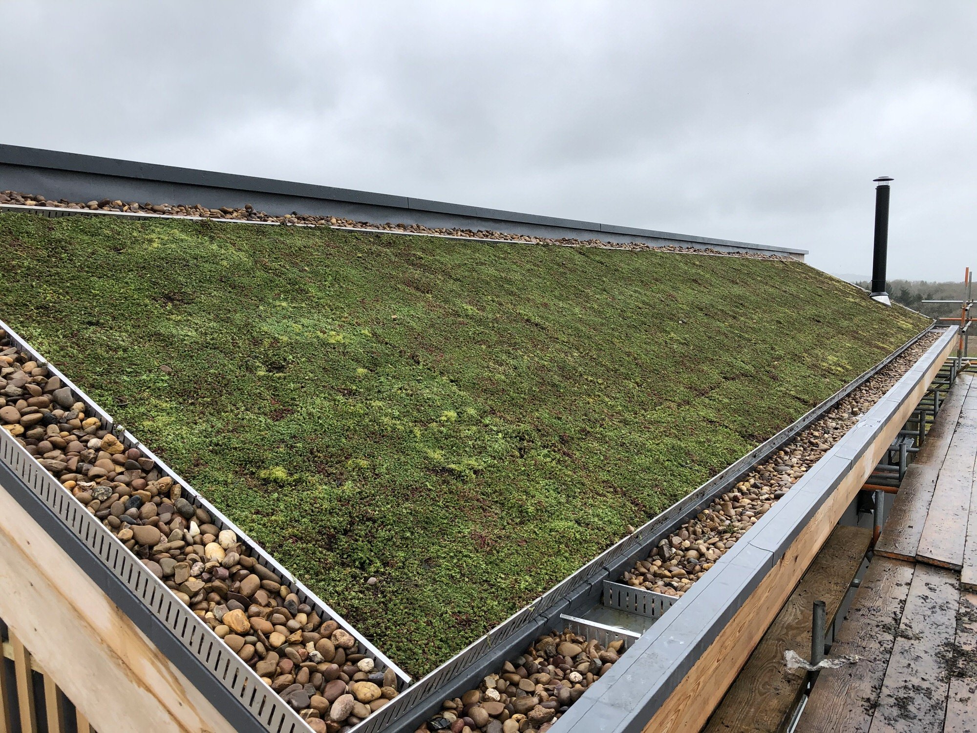 Green roofs explained