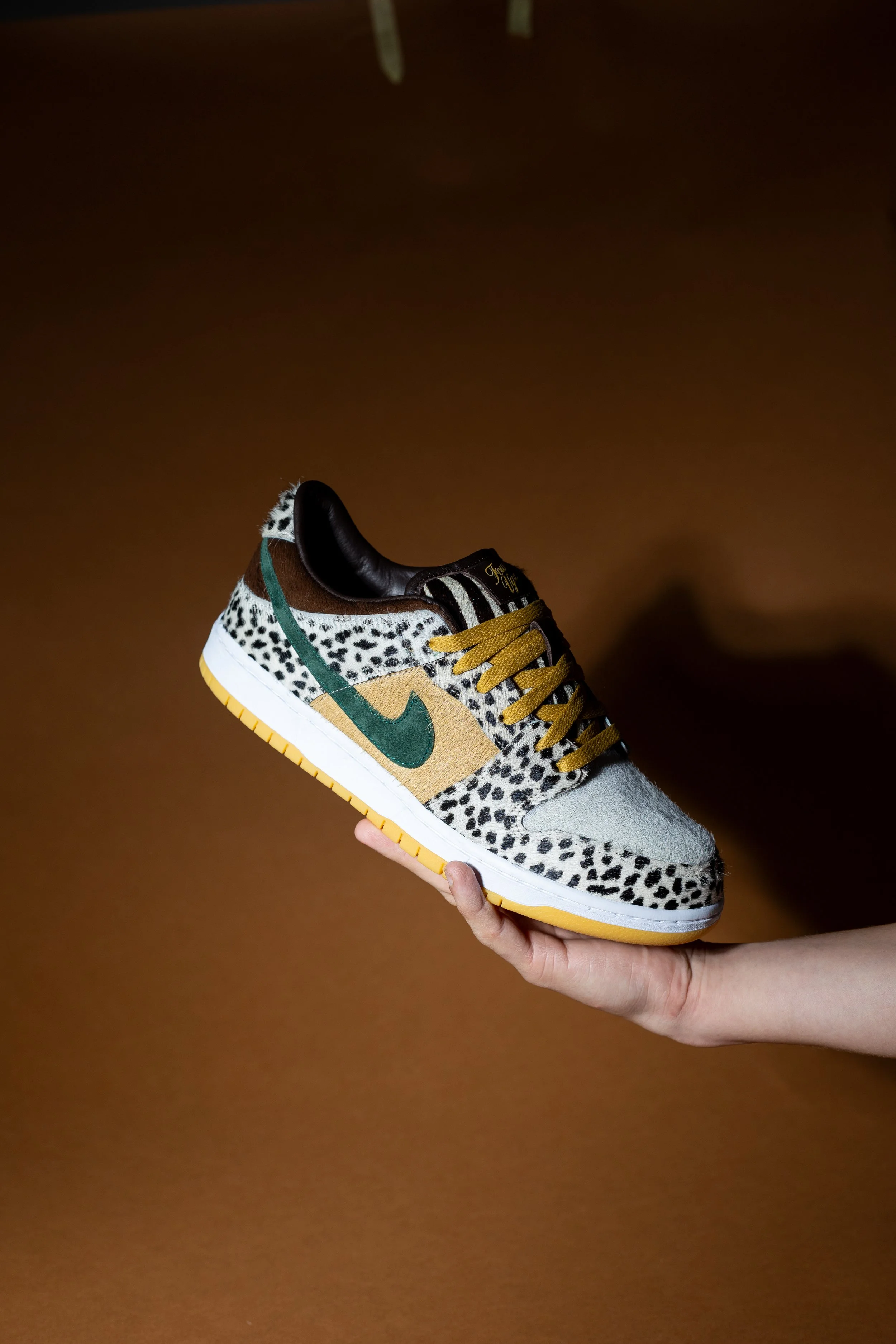 VIJZ-FOUR-SB-Dunk-1.jpg
