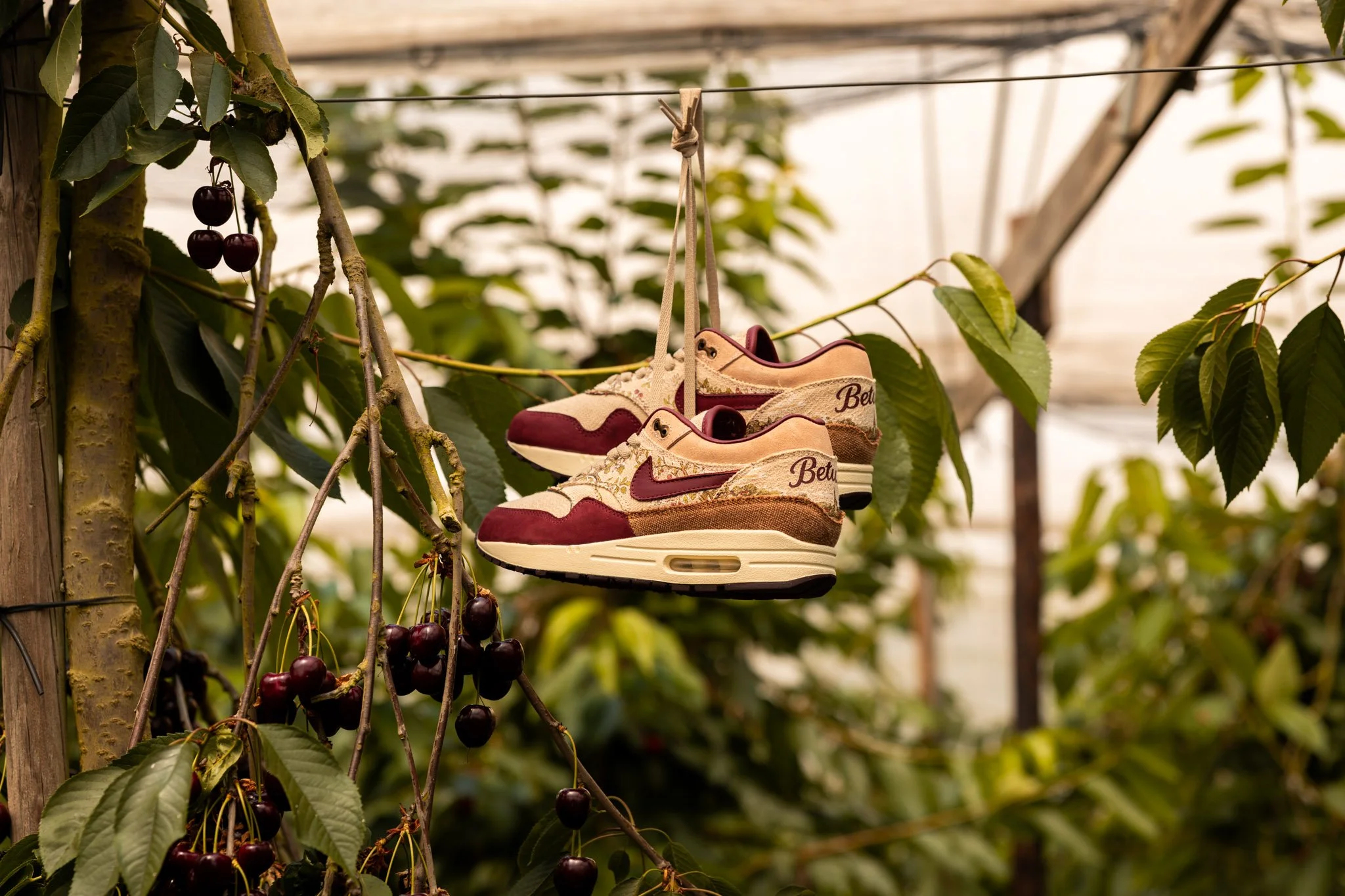 VIJZ Bespokes Air Max 1 Betuwe-11.jpg