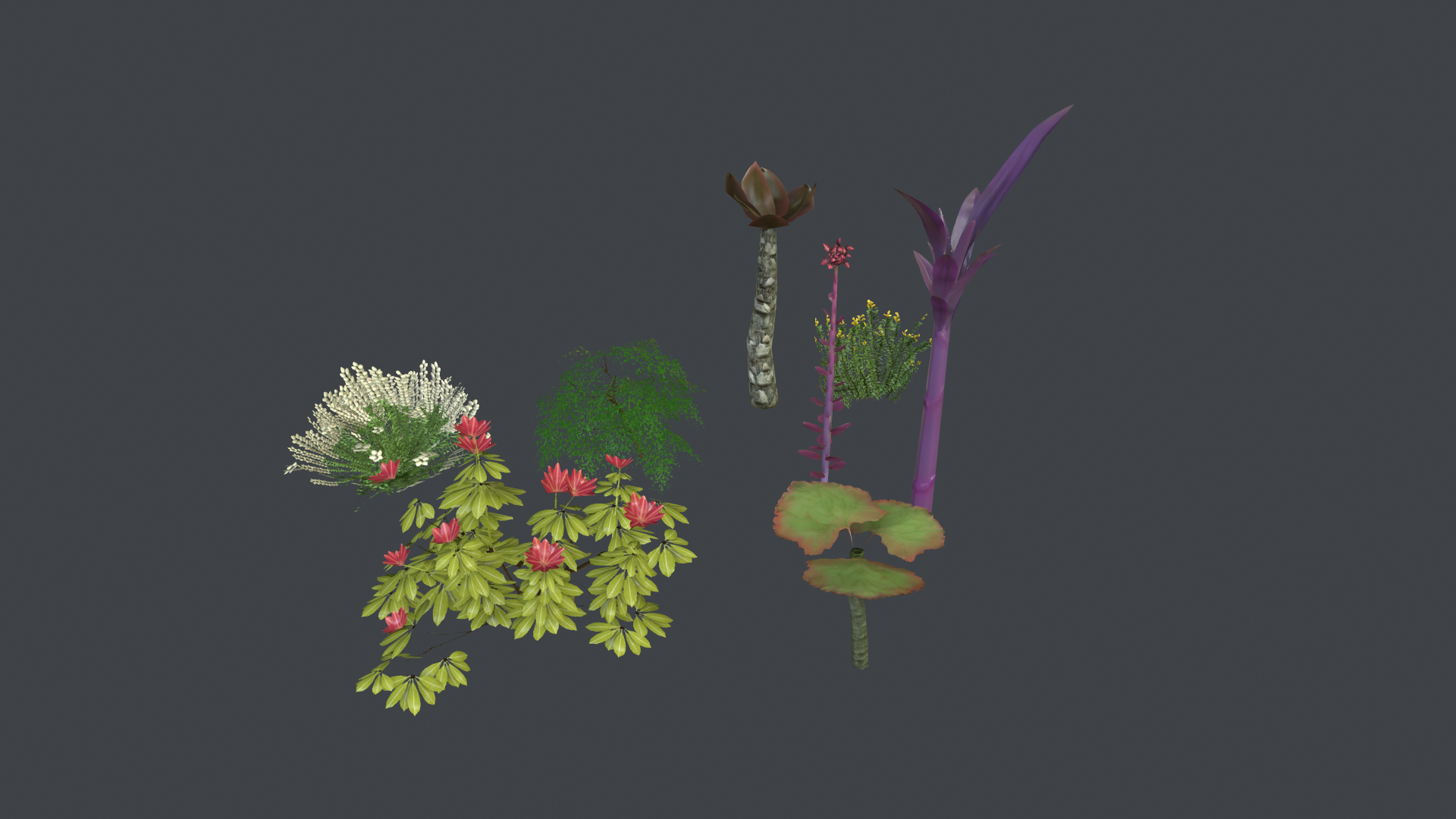 Maia__0001_plants1.png
