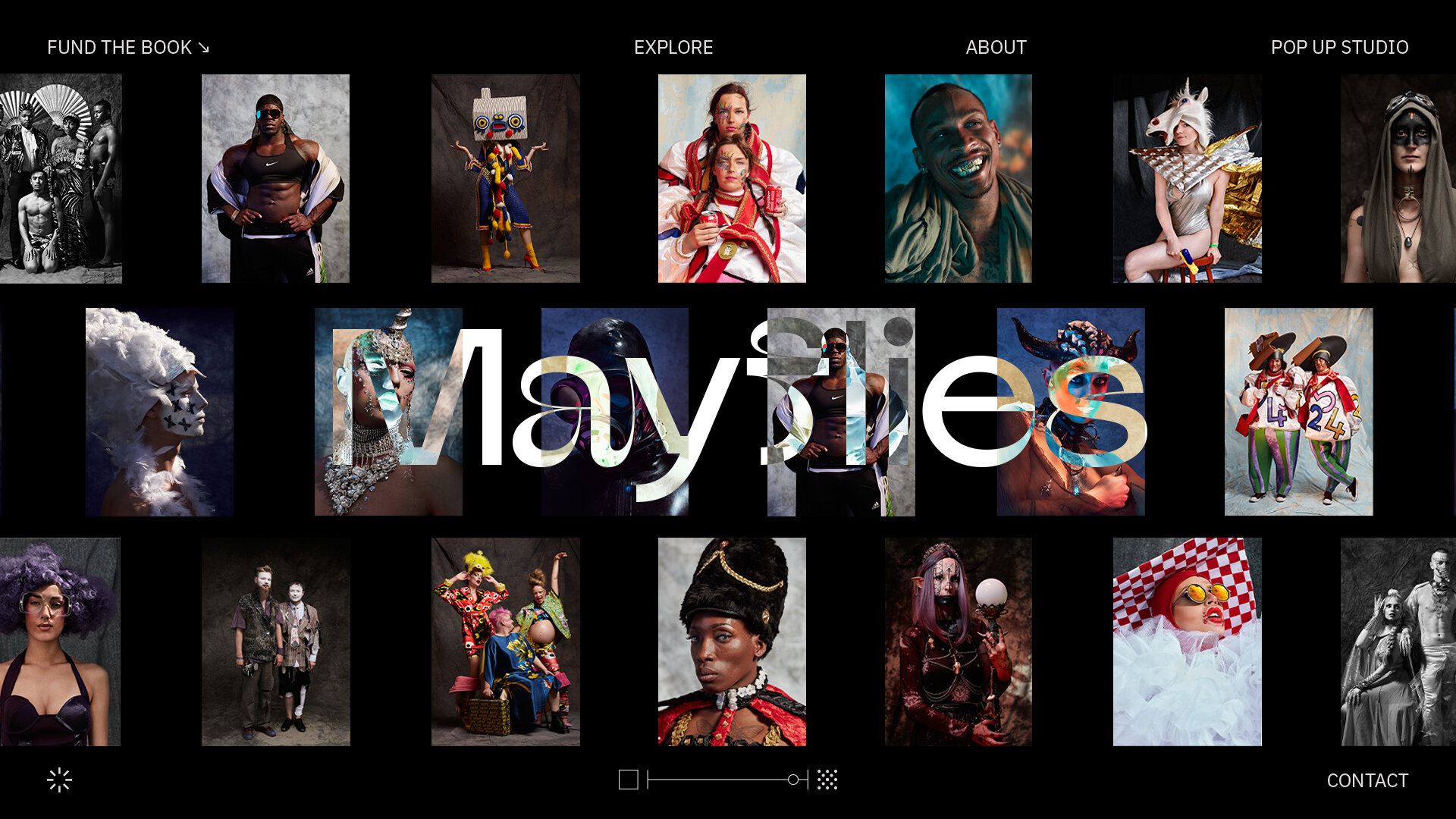 Mayflies_LandingPage_Layout_04.jpg