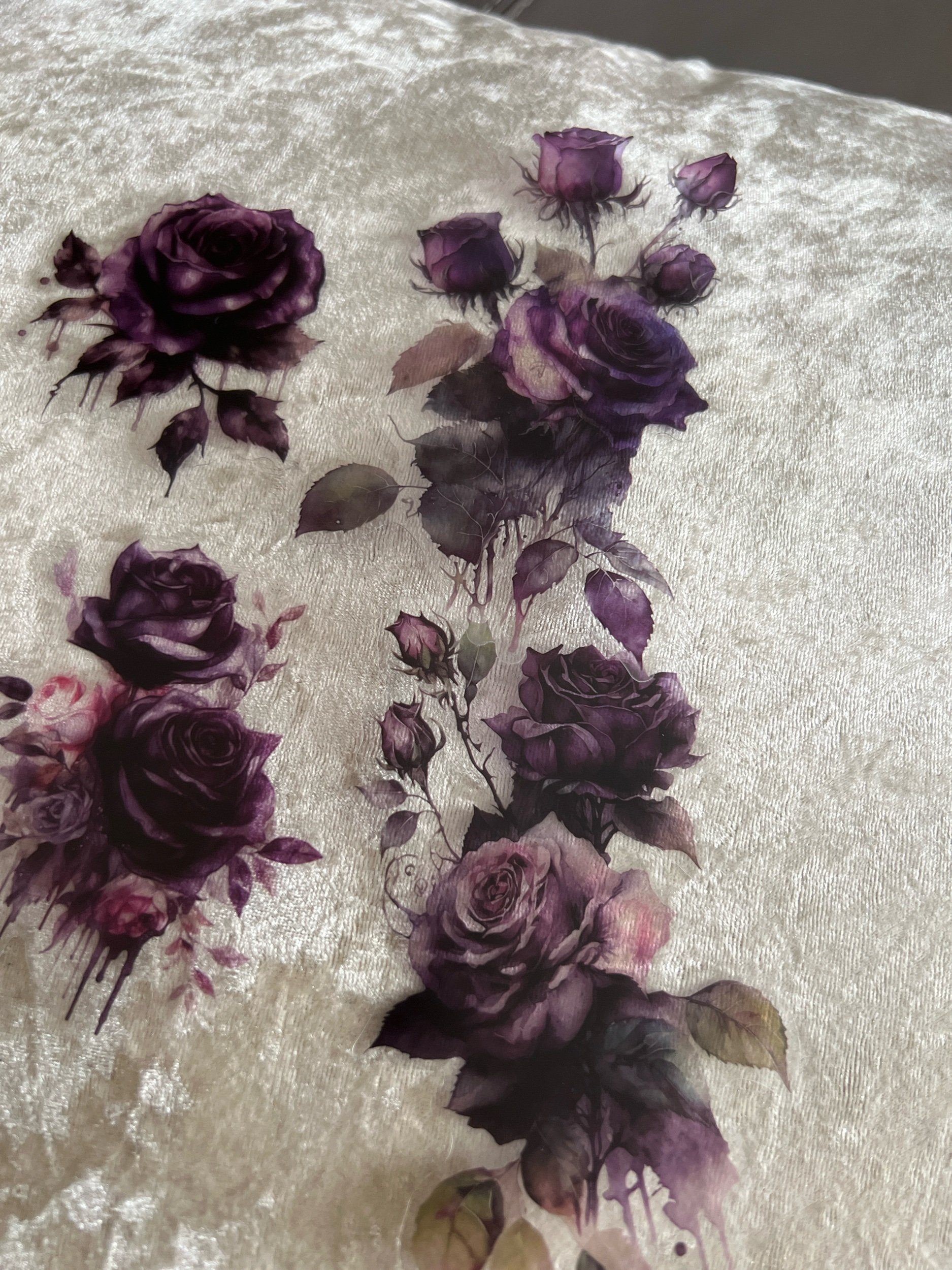 22F1EE20-22AB-4BDA-B428-0597F021F471.jpeg