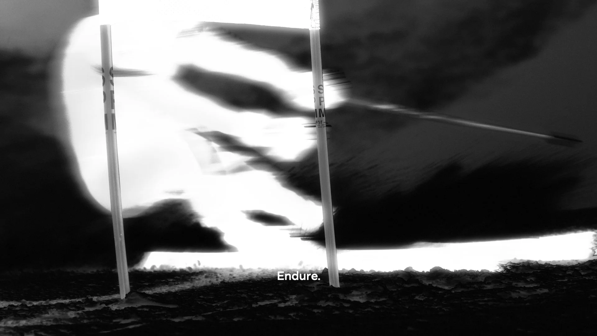 Still 2026-02-02 124815_1.1.19.jpg