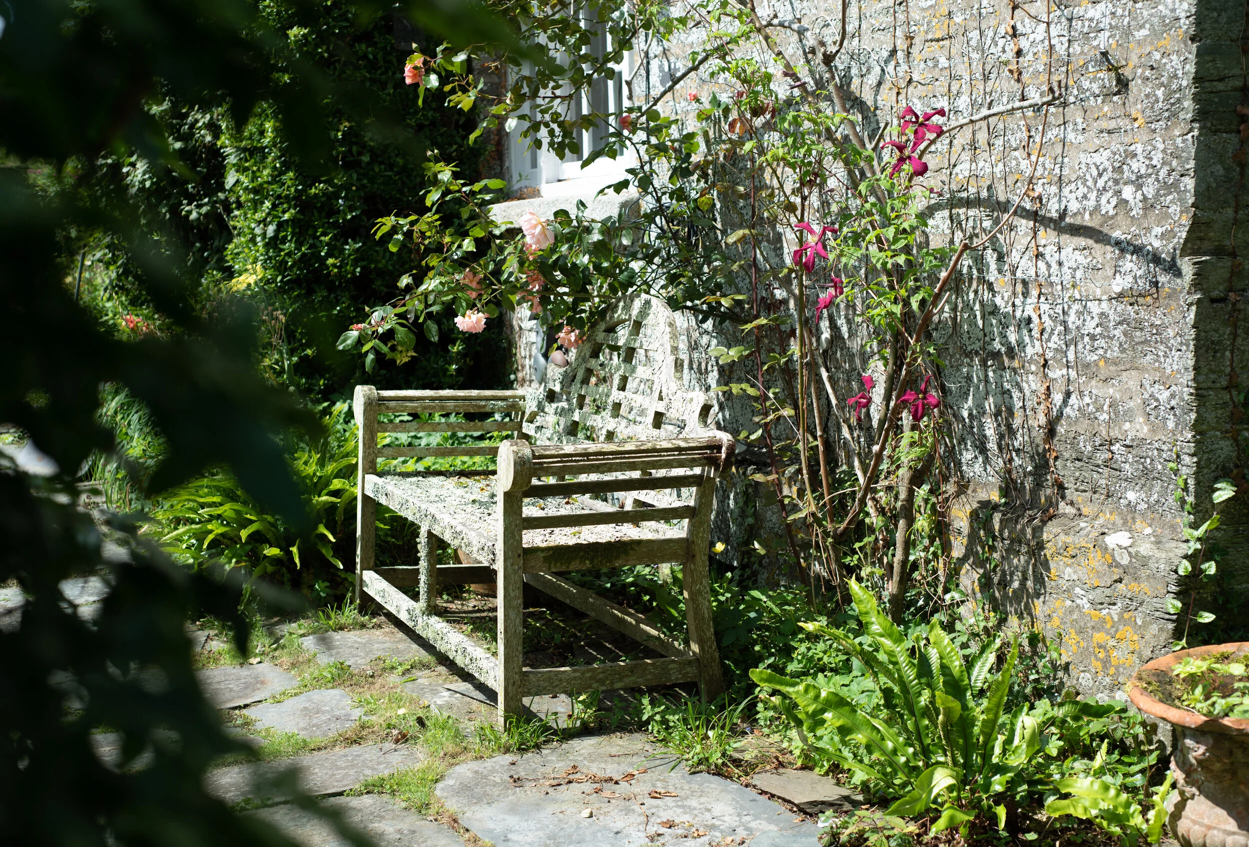 Garden bench.jpg