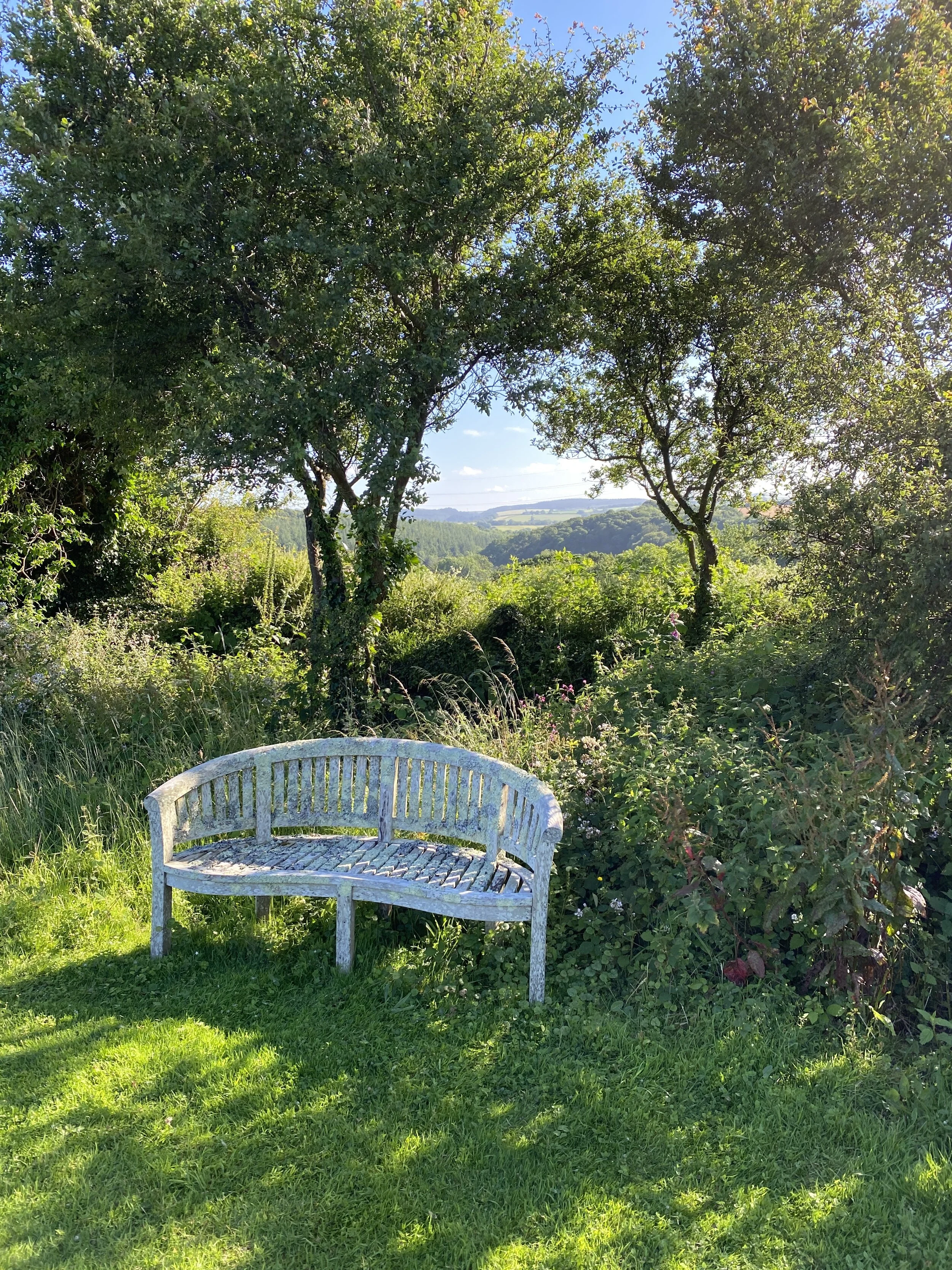 View from top of field.JPG