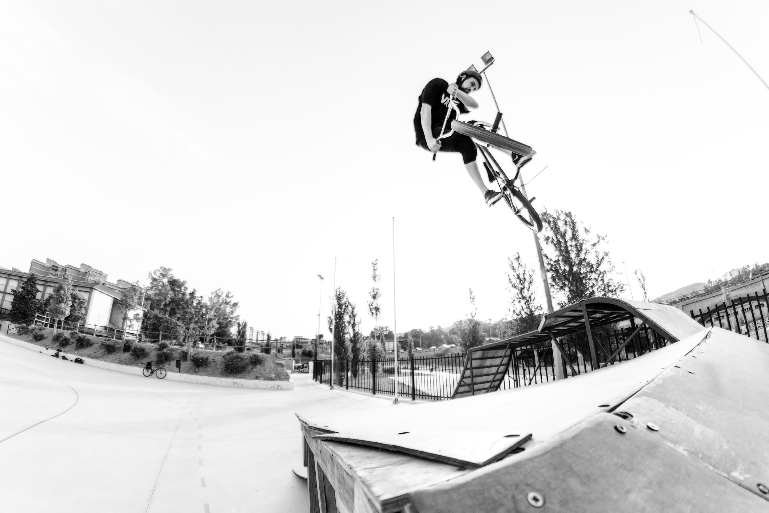 GORDO SKATE PARK MALAGA 5.jpg