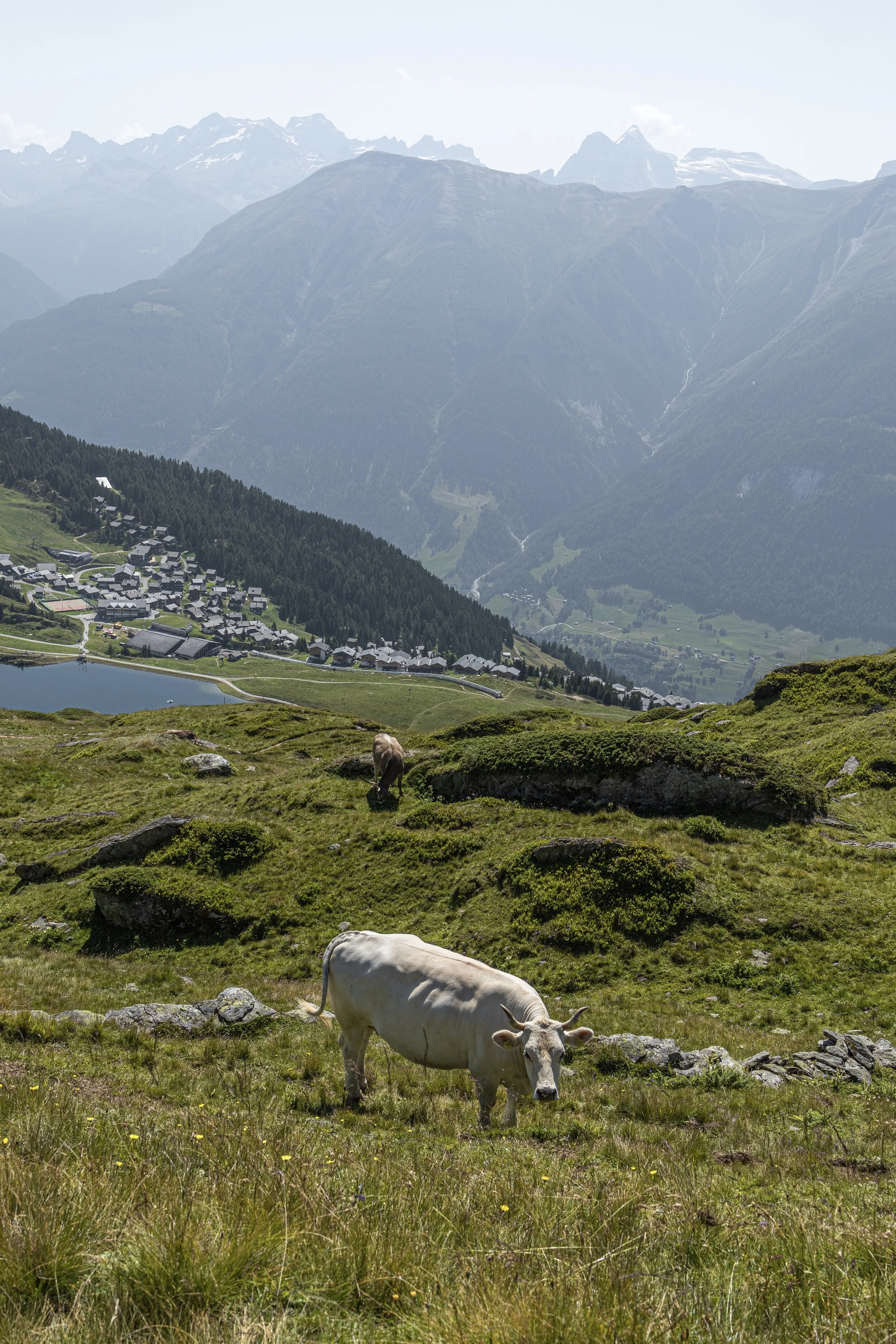 _MG_8173.jpg