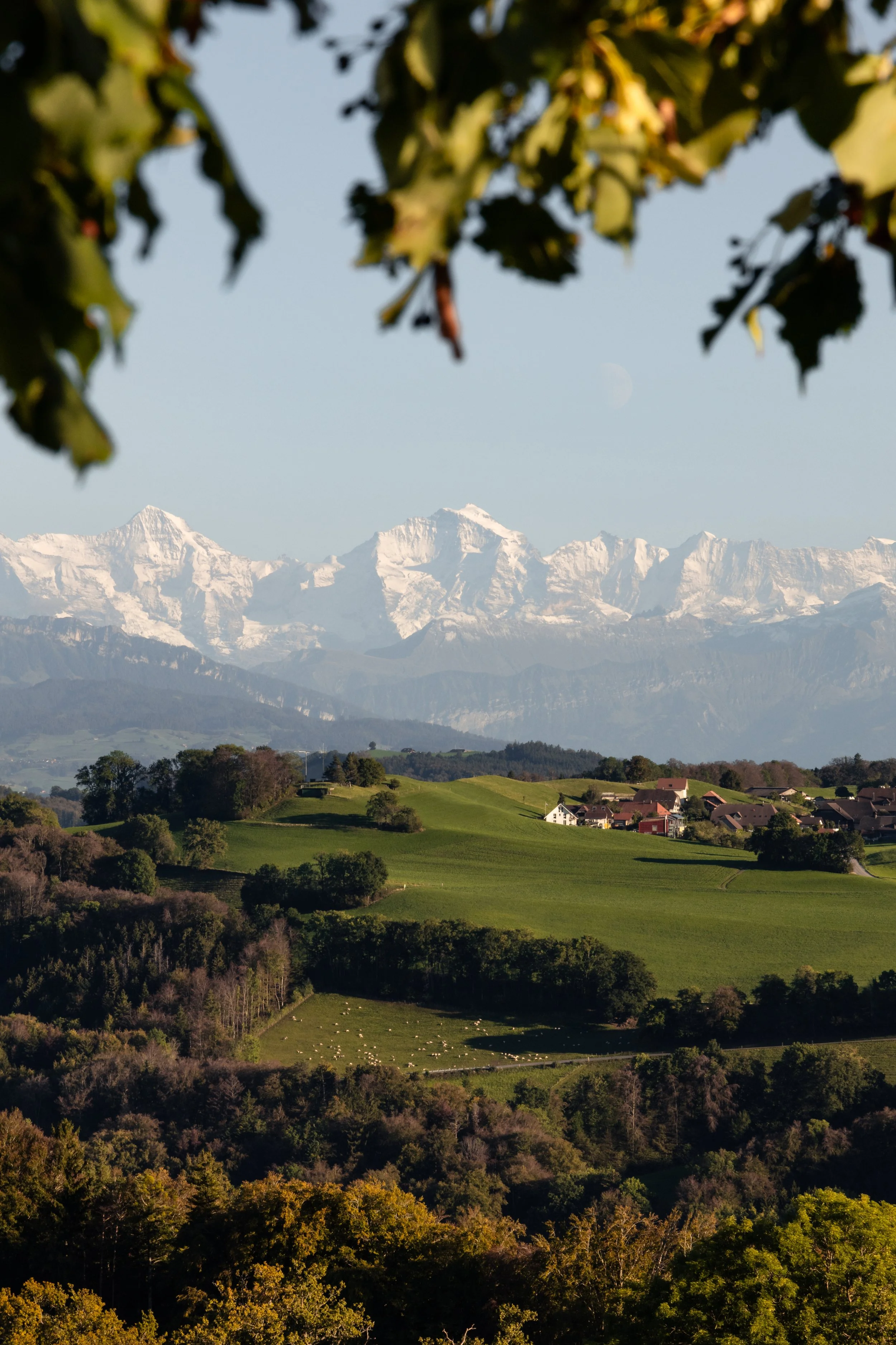 ALPES GURTEN ATARDECER-1.jpg